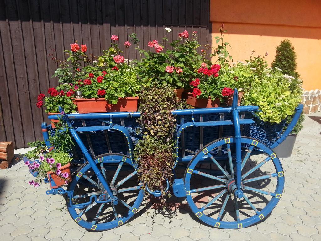 Hotel Bliss Sibiu Ngoại thất bức ảnh